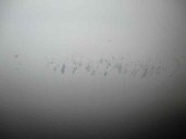 Recambio de puerta trasera derecha para opel vectra c berlina comfort referencia OEM IAM 124607 BLANCO 4 PUERTAS