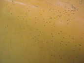 Recambio de capot para nissan patrol (k/w160) 2.8 referencia OEM IAM 65100C7601 AMARILLO NARANJA 