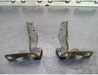 Recambio de amortiguadores capo para fiat doblo (119) 1.3 jtd cat referencia OEM IAM   