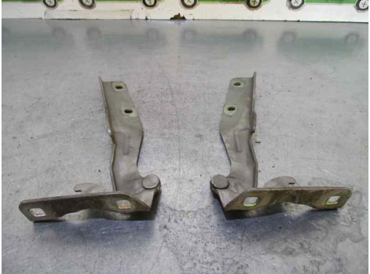 Recambio de amortiguadores capo para fiat doblo (119) 1.3 jtd cat referencia OEM IAM   