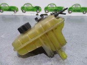Recambio de deposito expansion para citroën c5 berlina 2.0 hdi cat (rhr / dw10bted4) referencia OEM IAM   