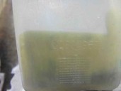 Recambio de deposito expansion para volvo s40 berlina 1.8 16v cat referencia OEM IAM 30804963  