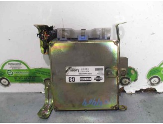 Recambio de centralita motor uce para nissan primera berl./familiar (p10/w10) 2.0 16v cat referencia OEM IAM 2371070J66 80116B L