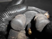 Recambio de delco para volvo serie 440 2.0 cat referencia OEM IAM 7700726736 525536G 