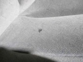 Recambio de asiento delantero derecho para chrysler voyager (rg) 2.5 crd cat referencia OEM IAM TELA BEIGE 5 PUERTAS