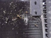 Replacement air conditioning condenser / radiator for Iveco Daily closed box (1999 =>) OEM IAM reference 