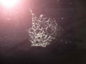 Recambio de capot para peugeot 307 break/sw (s2) 1.6 hdi referencia OEM IAM  MORADO 