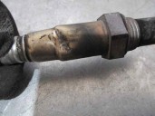 Replacement lambda sensor for Fiat Bravo (198) 1.9 8V JTD CAT OEM IAM reference 0281004026 0281004026 BOSCH