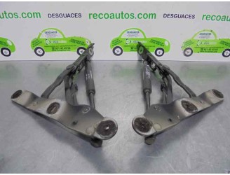 Recambio de amortiguadores maletero / porton para fiat linea (323_, 110_) 1.3 d multijet (323axb11, 323axb1a) referencia OEM IAM