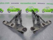 Recambio de amortiguadores maletero / porton para fiat linea (323_, 110_) 1.3 d multijet (323axb11, 323axb1a) referencia OEM IAM