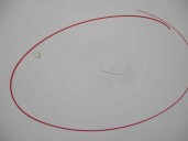 Replacement hood for Citroën Evasion 2.0 16V HDi CAT (RHW / DW10ATED4) OEM IAM reference WHITE 