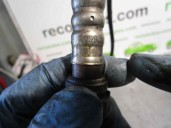 Recambio de sonda lambda para daewoo nubira berlina 1.6 cat referencia OEM IAM 341W61099 NTK