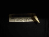 Recambio de airbag delantero izquierdo para renault modus 1.4 16v referencia OEM IAM 8200466483 099C506401 