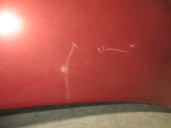 Replacement hood for Renault Modus 1.4 16v OEM IAM reference GARNET 