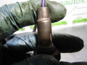 Recambio de sonda lambda para opel astra f berlina 1.4 16v referencia OEM IAM 25164596 