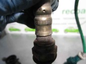 Recambio de sonda lambda para ford focus berlina (cak) 1.6 16v cat referencia OEM IAM 98AB9F472BB  