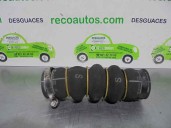 Recambio de tubo para citroën c4 lim. collection referencia OEM IAM 98733101 