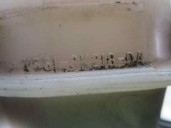 Recambio de deposito expansion para ford fiesta (dx) 1.3 cat referencia OEM IAM YS618K218DA 