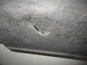 Recambio de faldon lateral para lancia thesis (115) 2.4 jtd cat referencia OEM IAM 156019844 MORADA 156019844