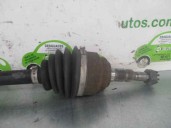 Recambio de transmision delantera derecha para opel zafira a 2.0 dti referencia OEM IAM 92083310 3101002 