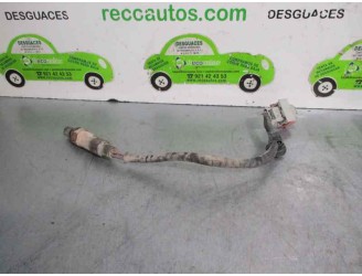Recambio de sonda lambda para peugeot 406 berlina (s1/s2) 1.8 cat referencia OEM IAM AFS91 