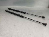 Replacement trunk / tailgate struts for Renault Scenic II Confort Authentique OEM IAM reference C50017 