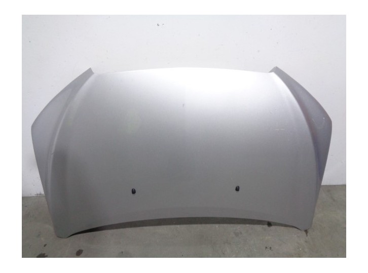Replacement hood for Chevrolet Aveo 1.3 diesel cat OEM IAM reference 95102827 GREY 