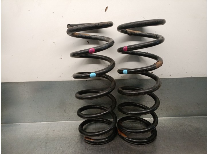 Recambio de muelle amortiguacion para nissan pathfinder iii (r51) 2.5 dci 4wd referencia OEM IAM 55020EB30A 55020EB30A 