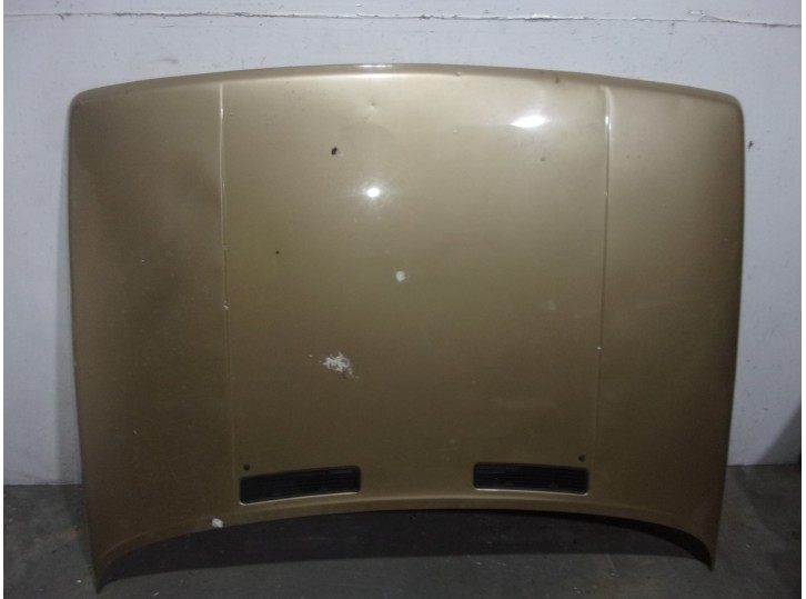 Recambio de capot para renault 9 1.4 referencia OEM IAM  MARRON 