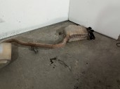 Recambio de tubo escape trasero para audi a4 berlina (8e) 1.9 tdi referencia OEM IAM 8E0253411AP 8E0253409BN 
