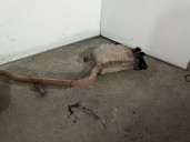 Recambio de tubo escape trasero para audi a4 berlina (8e) 1.9 tdi referencia OEM IAM 8E0253411AP 8E0253409BN 