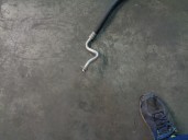 Recambio de tubos aire acondicionado para mitsubishi lancer sportback (cx) 1.5 cat referencia OEM IAM 7815A152  