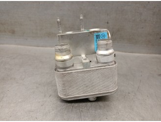 Recambio de valvula expansion para opel corsa f (p2jo) corsa-e (68) referencia OEM IAM 9831600480 EV29135600