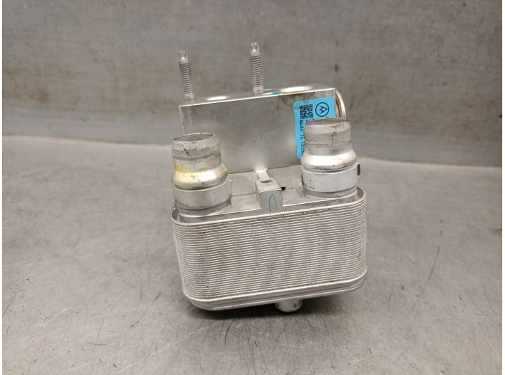 Recambio de valvula expansion para opel corsa f (p2jo) corsa-e (68) referencia OEM IAM 9831600480 EV29135600