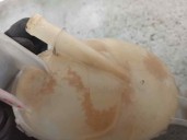 Recambio de deposito expansion para opel movano b kasten/combi 2.3 cdti referencia OEM IAM 217100015R  