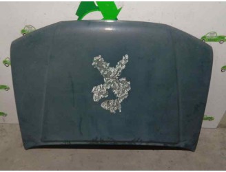 Recambio de capot para nissan pathfinder (r51) 2.5 dci diesel cat referencia OEM IAM 65100EB330 VERDE 