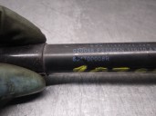 Recambio de amortiguadores capo para renault scenic iii 1.5 dci diesel referencia OEM IAM 654700008R  