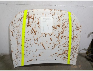 Recambio de capot para ford ranger (es) 2.5 tdci cat referencia OEM IAM 5139731 5139731 