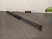 Recambio de amortiguadores maletero / porton para bmw serie 3 touring (e46) 320d edition advance referencia OEM IAM 51248232873 