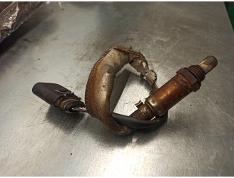 Recambio de sonda lambda para volkswagen golf iv berlina (1j1) 1.9 tdi referencia OEM IAM  0258005079 BOSCH