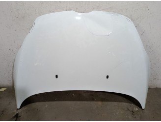 Recambio de capot para ford fiesta vi (cb1, ccn) 1.6 tdci referencia OEM IAM 1774791 1774791 