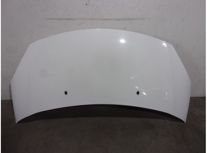Recambio de capot para citroën c3 ii 1.4 referencia OEM IAM 7901R1 BLANCO 