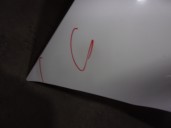 Recambio de capot para citroën c3 ii 1.4 referencia OEM IAM 7901R1 BLANCO 