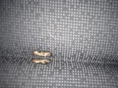 Recambio de asientos traseros para bmw serie 3 coupe (e92) 2.0 16v cat referencia OEM IAM 4333937 TELA NEGRA Y GRIS 2 PUERTAS