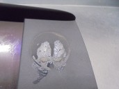 Recambio de pantalla multifuncion para bmw x3 (f25) 2.0 referencia OEM IAM 2504103  