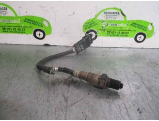 Recambio de sonda lambda para lancia ypsilon (101) 1.2 16v cat referencia OEM IAM 0258006206 BOSCH