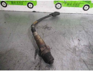 Recambio de sonda lambda para lancia ypsilon (101) 1.2 16v cat referencia OEM IAM 0258006206 BOSCH