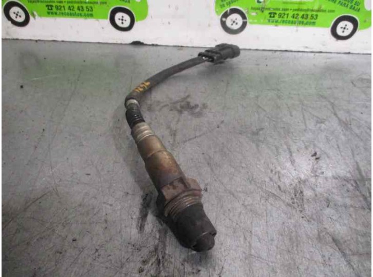 Recambio de sonda lambda para lancia ypsilon (101) 1.2 16v cat referencia OEM IAM 0258006206 BOSCH