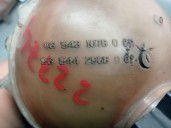 Recambio de deposito expansion para citroën c4 grand picasso i (ua_) 2.0 hdi 138 referencia OEM IAM 965431078003 1323X6 