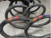 Recambio de muelle amortiguacion para nissan qashqai (j10) 1.6 16v cat referencia OEM IAM 55020JD02A  